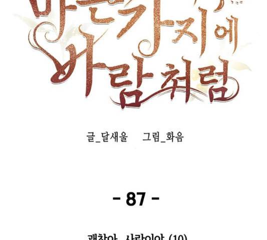 마른 가지에 바람처럼 87화 155