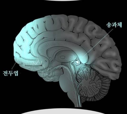 데드데이즈 특별화 5화 16