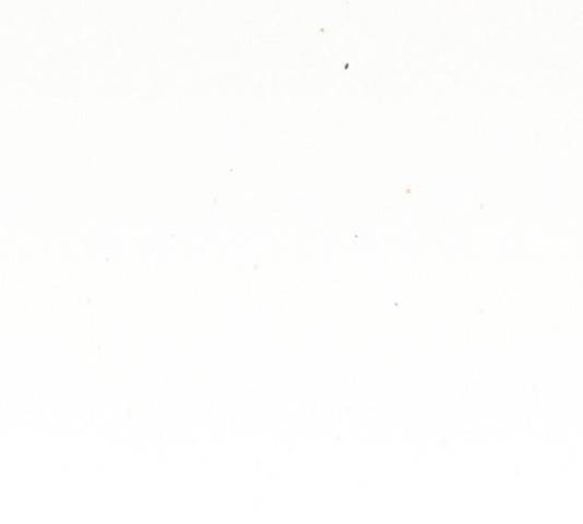 잿빛오름 14화 39