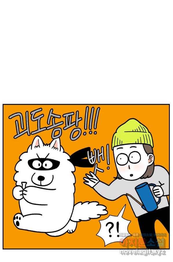 크레이지 가드너 41화 물조리개, 미니바이올렛 4