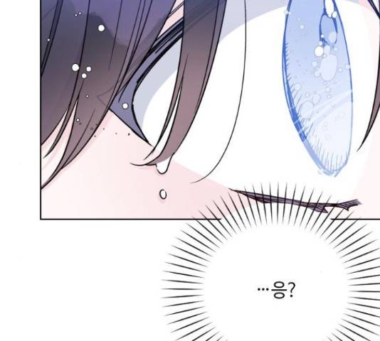 그 기사가 레이디로 사는 법 63화 15
