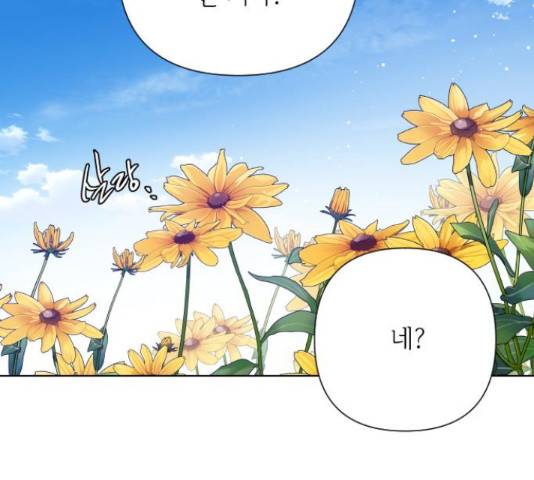그 기사가 레이디로 사는 법 63화 150