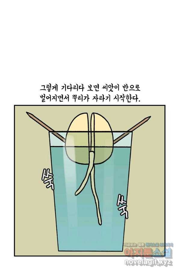 크레이지 가드너 44화 과일 씨앗 키우기 12