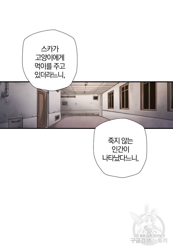 강철의 연금술사  139화 82