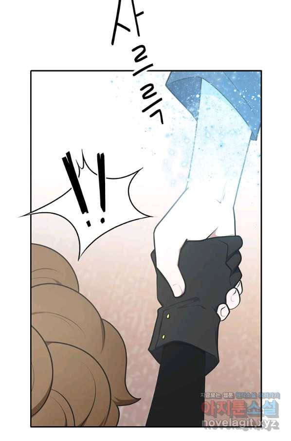 정령왕 엘퀴네스 219화 62