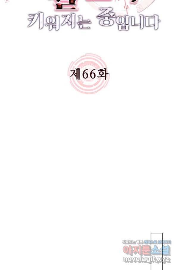 전설 헌터로 키워지는 중입니다 66화 9