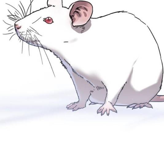 멸종위기종인간 15화 45