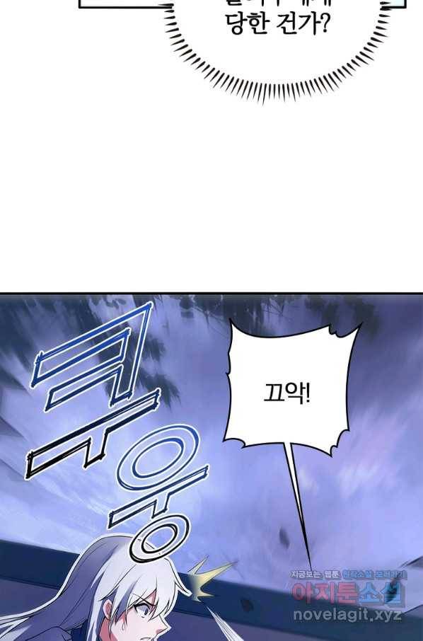 폐인무쌍:용병왕의 귀환 20화 29
