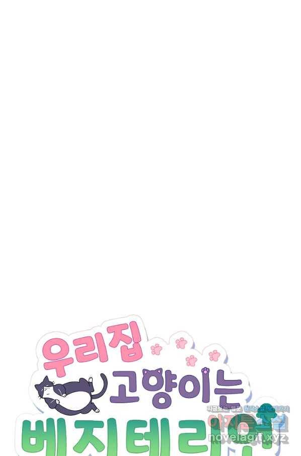 우리집 고양이는 베지테리언 39화 혼밥이 싫은 이유 15