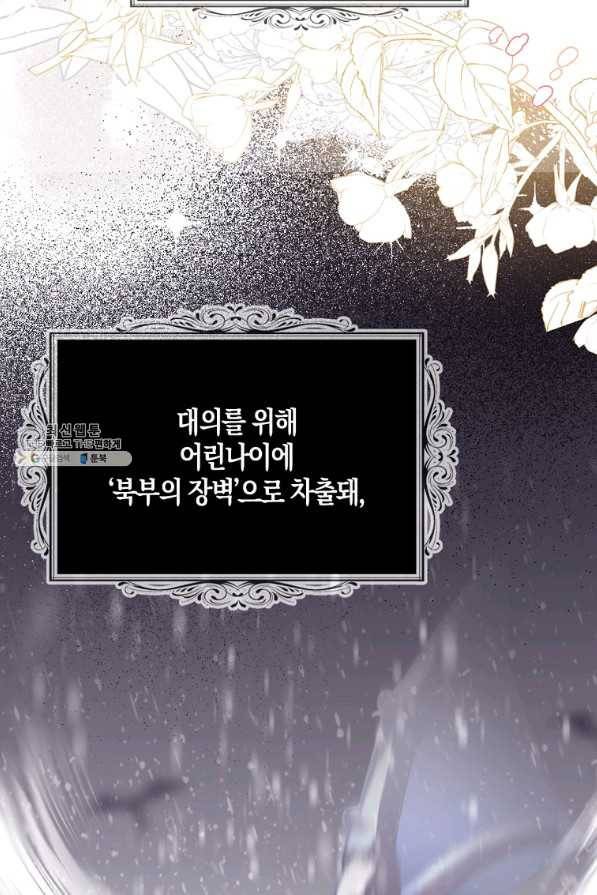 아쉴레앙 공작의 계약 결혼 44화 13