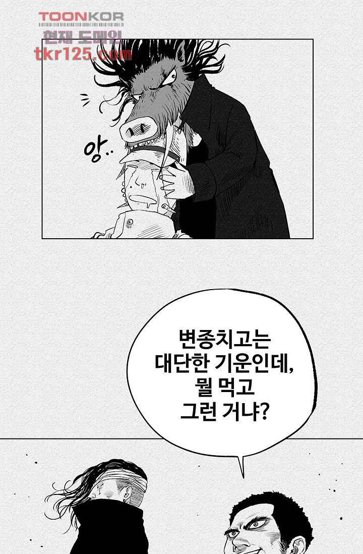 피그맨 43화 44