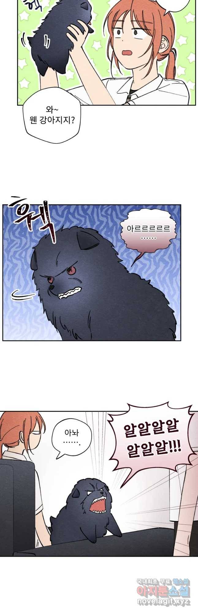 미스터리 록앤 시트러스 14화 20