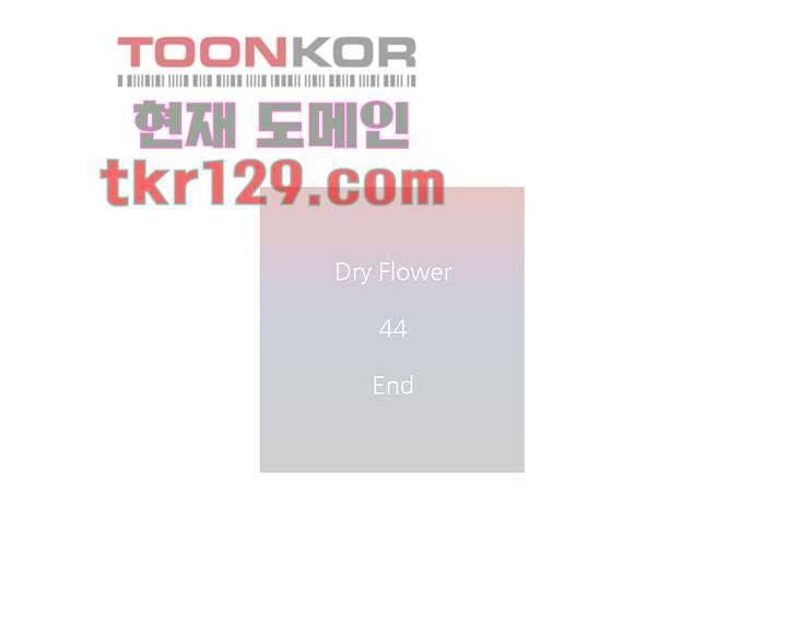 드라이 플라워 (Dry flower) 44화 44