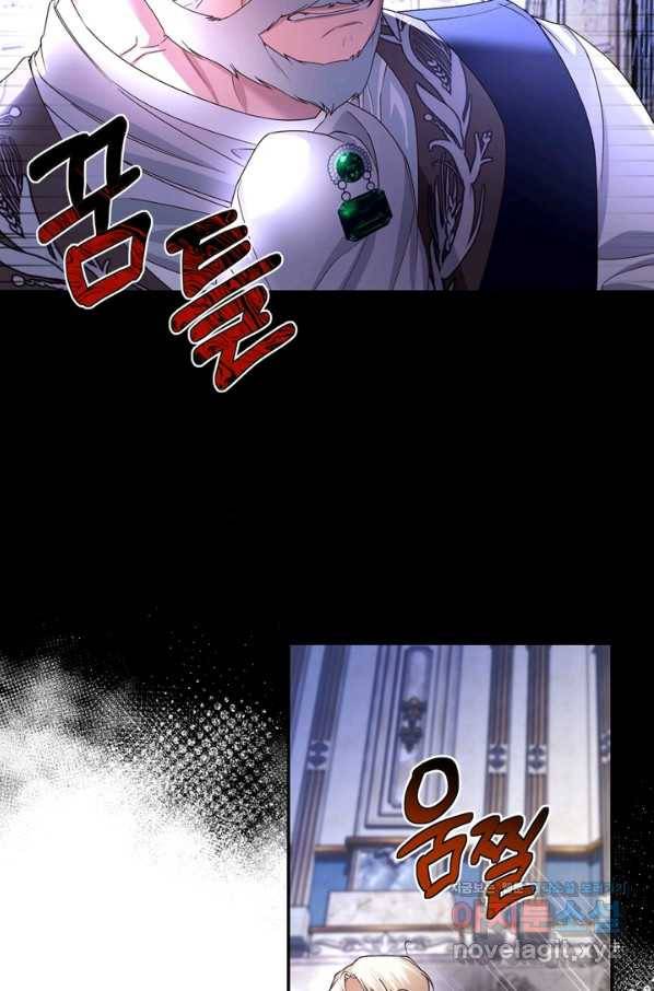 황제의 아이를 숨기는 방법 47화 10