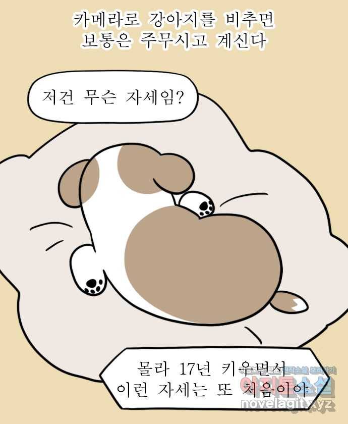 독립일기 시즌2 94화 영상통화 4