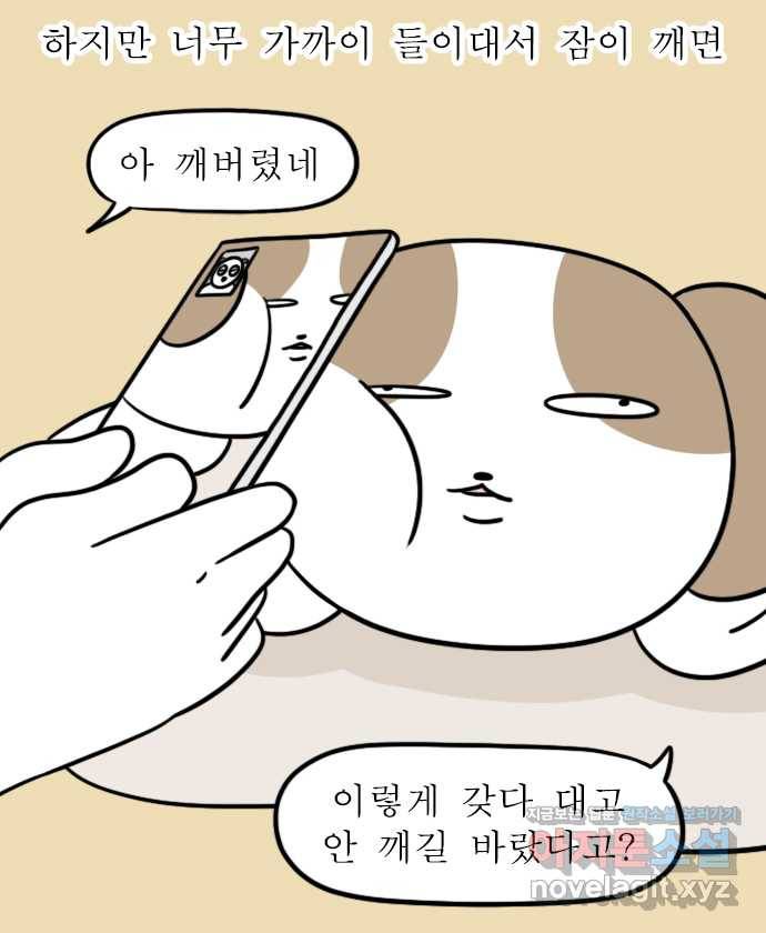 독립일기 시즌2 94화 영상통화 7