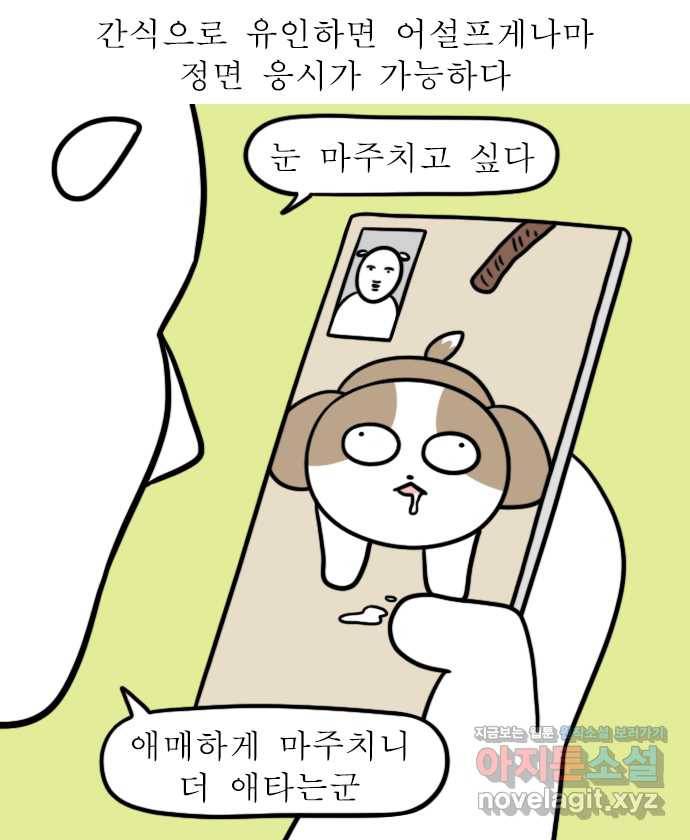 독립일기 시즌2 94화 영상통화 11