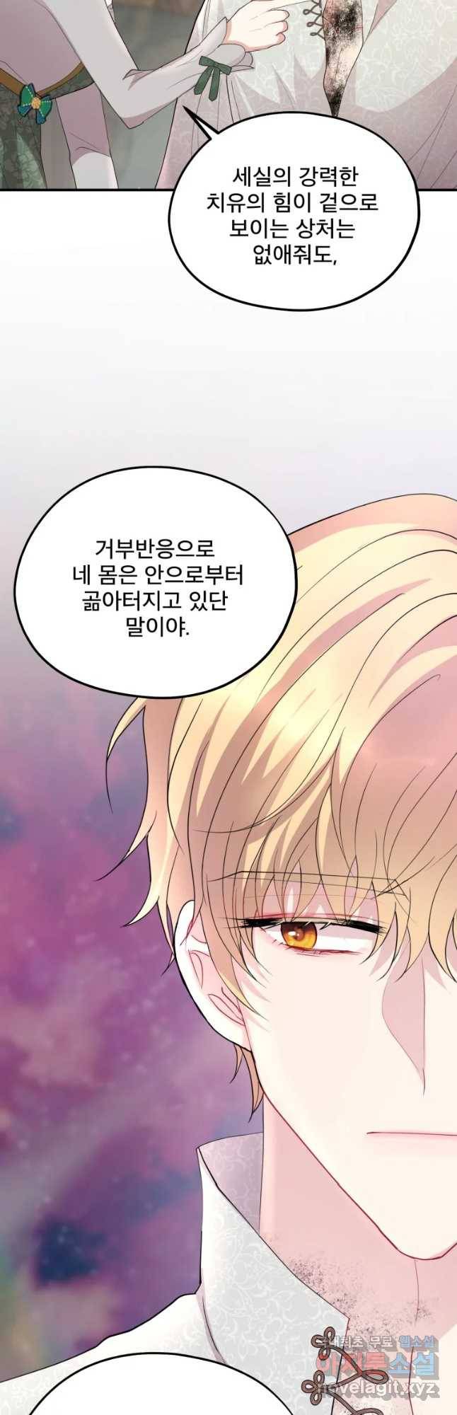 로엘린은 미래를 걷는다 58화 8