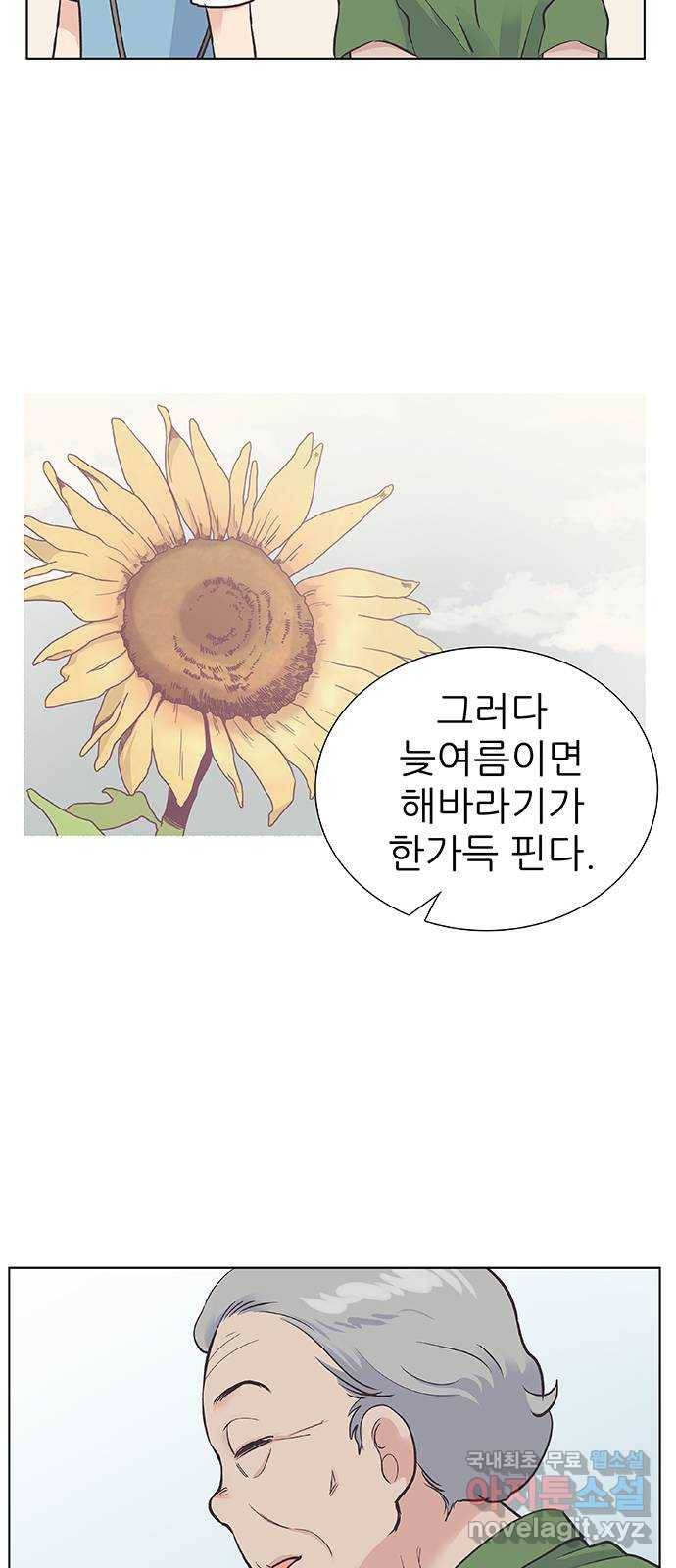 보듬보듬 34화 : 해바라기 같았던 15