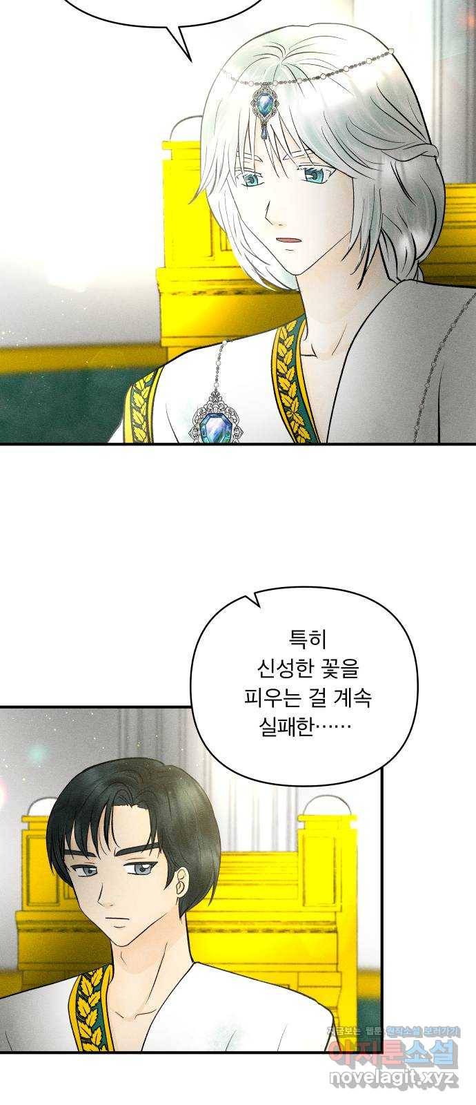 사막에 핀 달 75. 아슬란테 비올 3