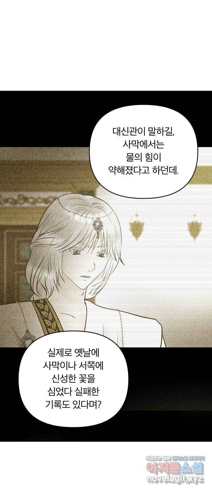 사막에 핀 달 75. 아슬란테 비올 14