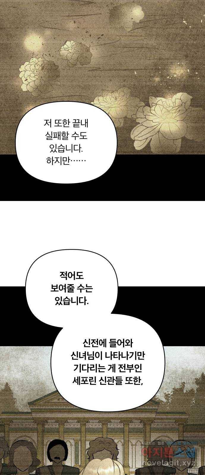 사막에 핀 달 75. 아슬란테 비올 37