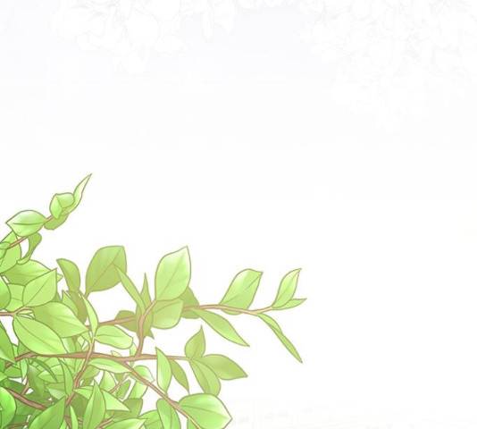 그림자 신부 그림자 신부 84화 48