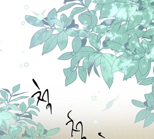 그림자 신부 그림자 신부 84화 73