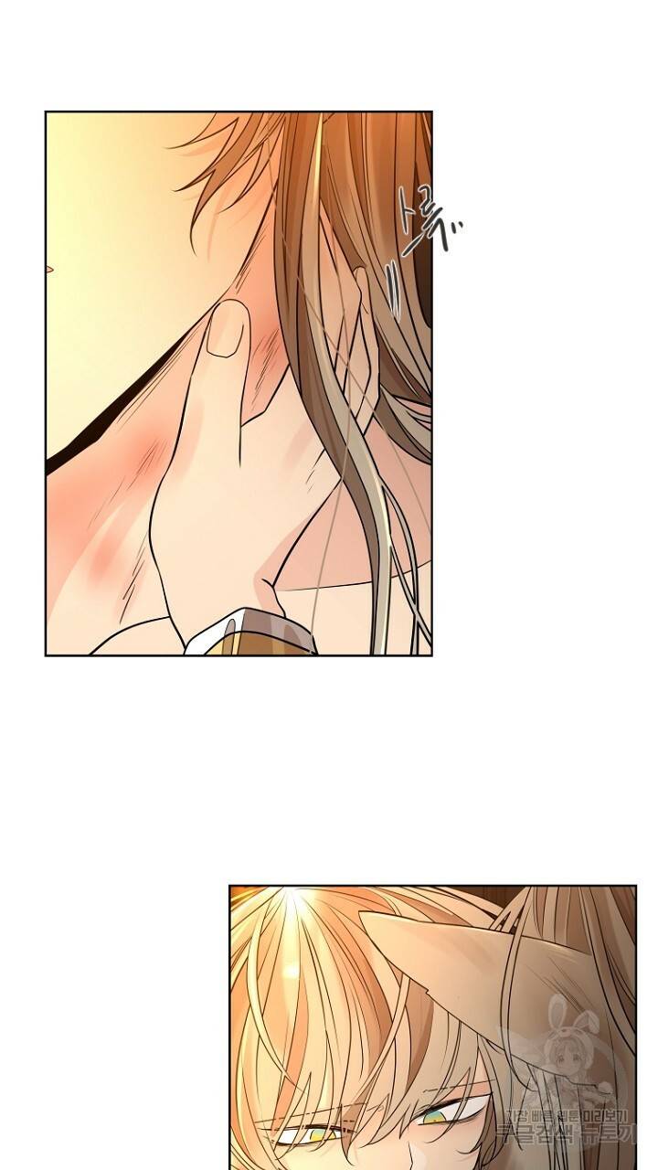 브릴리 166화 완결 13