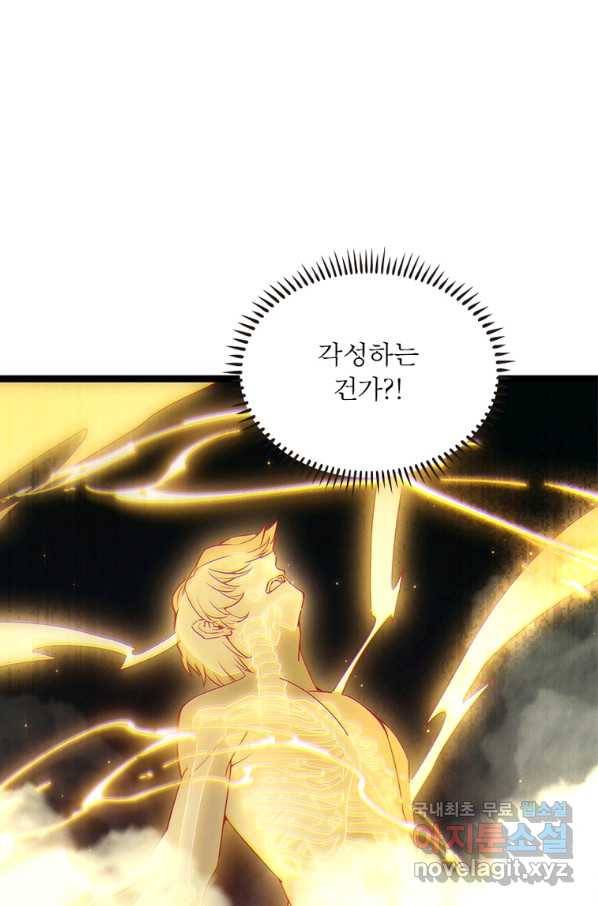 어웨이크닝 회귀 플레이어 81화 59