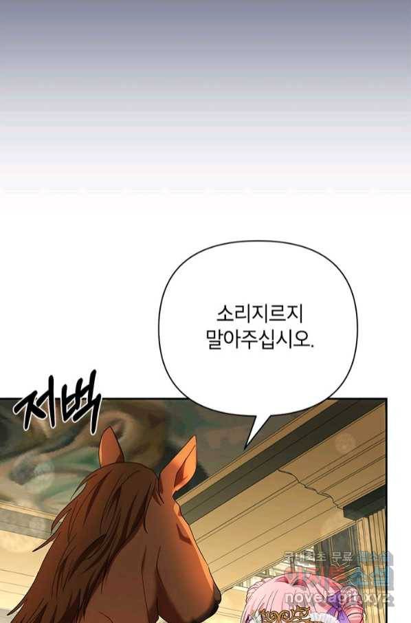 제니스 38화 5