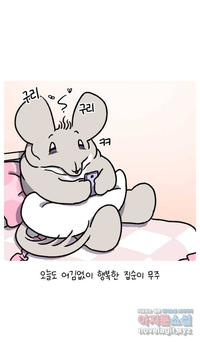 안녕, 나의 수집 07. 캡모자 1