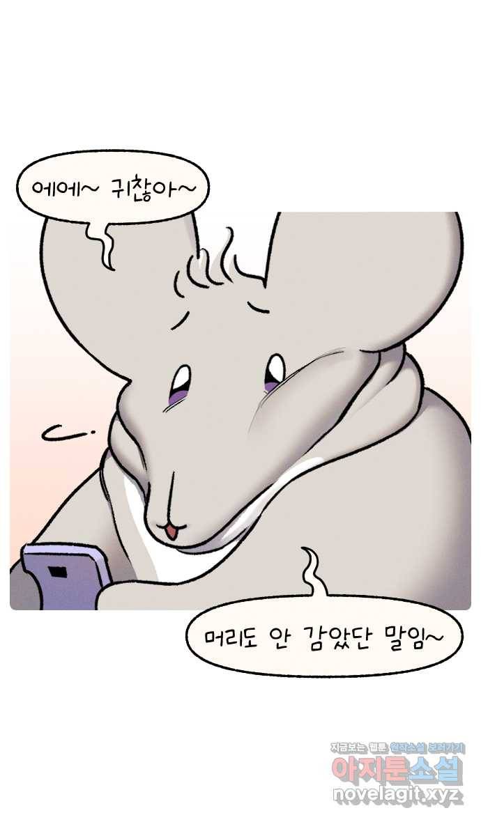 안녕, 나의 수집 07. 캡모자 3