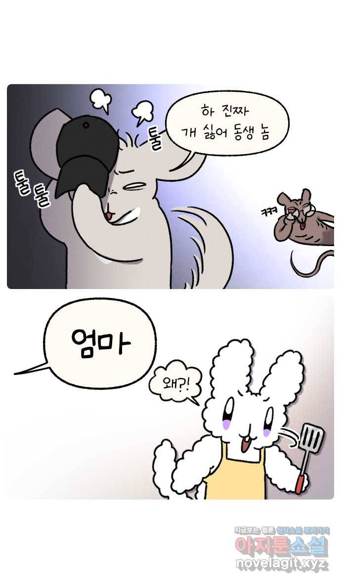 안녕, 나의 수집 07. 캡모자 5