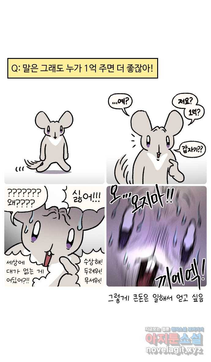 안녕, 나의 수집 08. 꽃다발 11