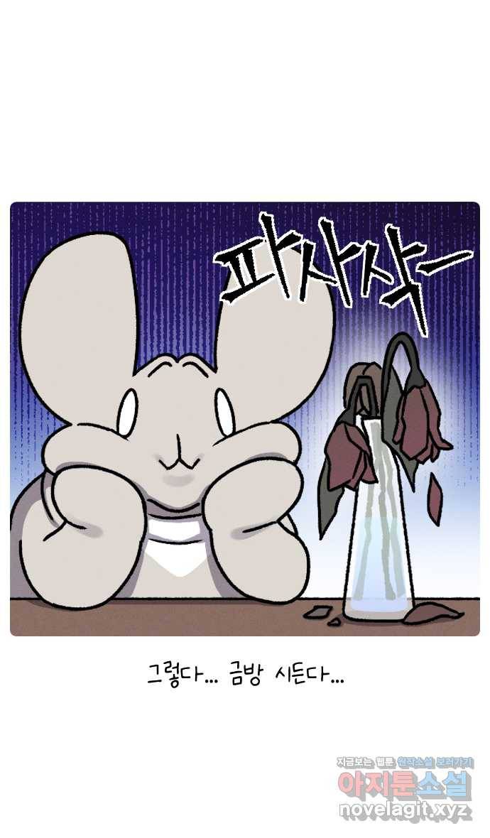 안녕, 나의 수집 08. 꽃다발 14