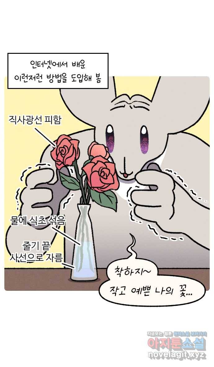 안녕, 나의 수집 08. 꽃다발 16