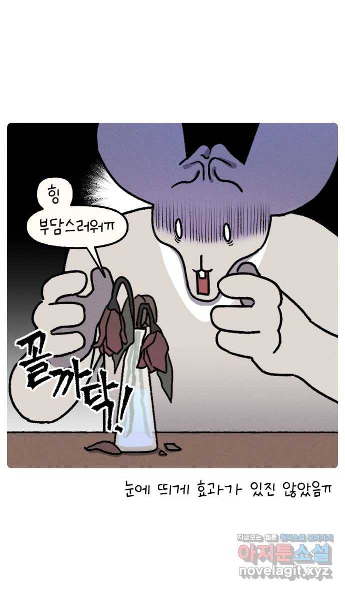 안녕, 나의 수집 08. 꽃다발 17