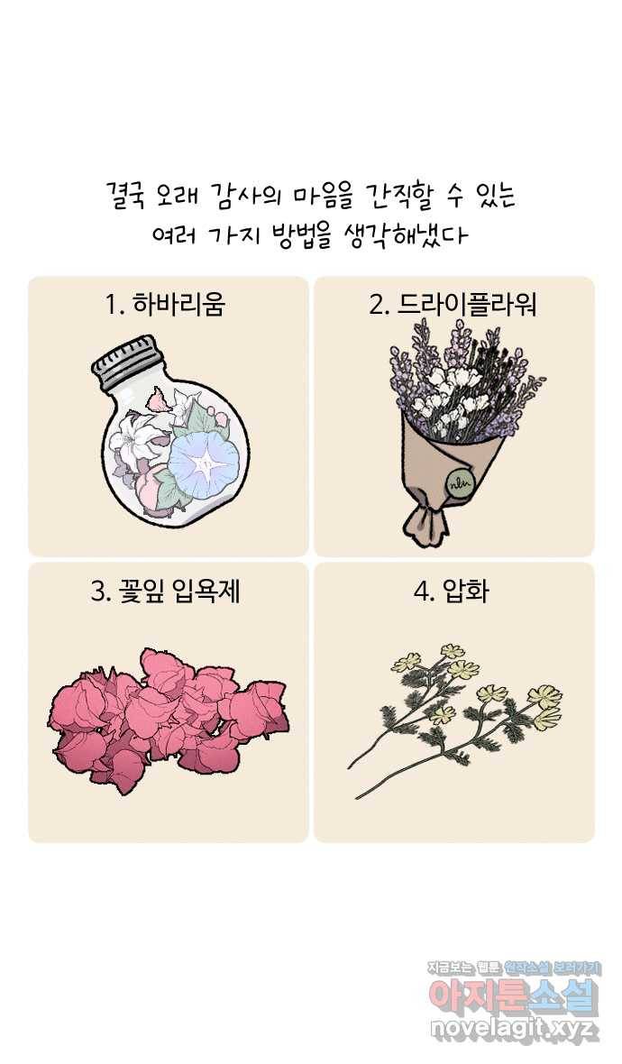 안녕, 나의 수집 08. 꽃다발 19