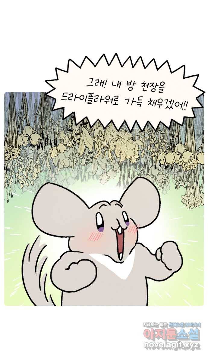 안녕, 나의 수집 08. 꽃다발 20