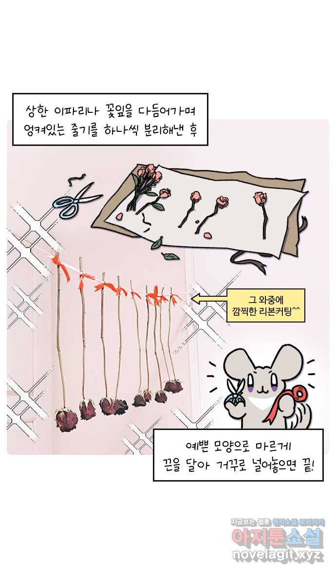 안녕, 나의 수집 08. 꽃다발 21