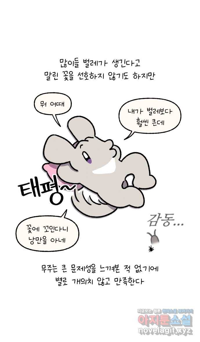 안녕, 나의 수집 08. 꽃다발 22