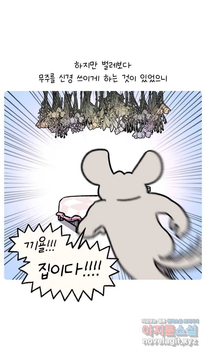 안녕, 나의 수집 08. 꽃다발 23