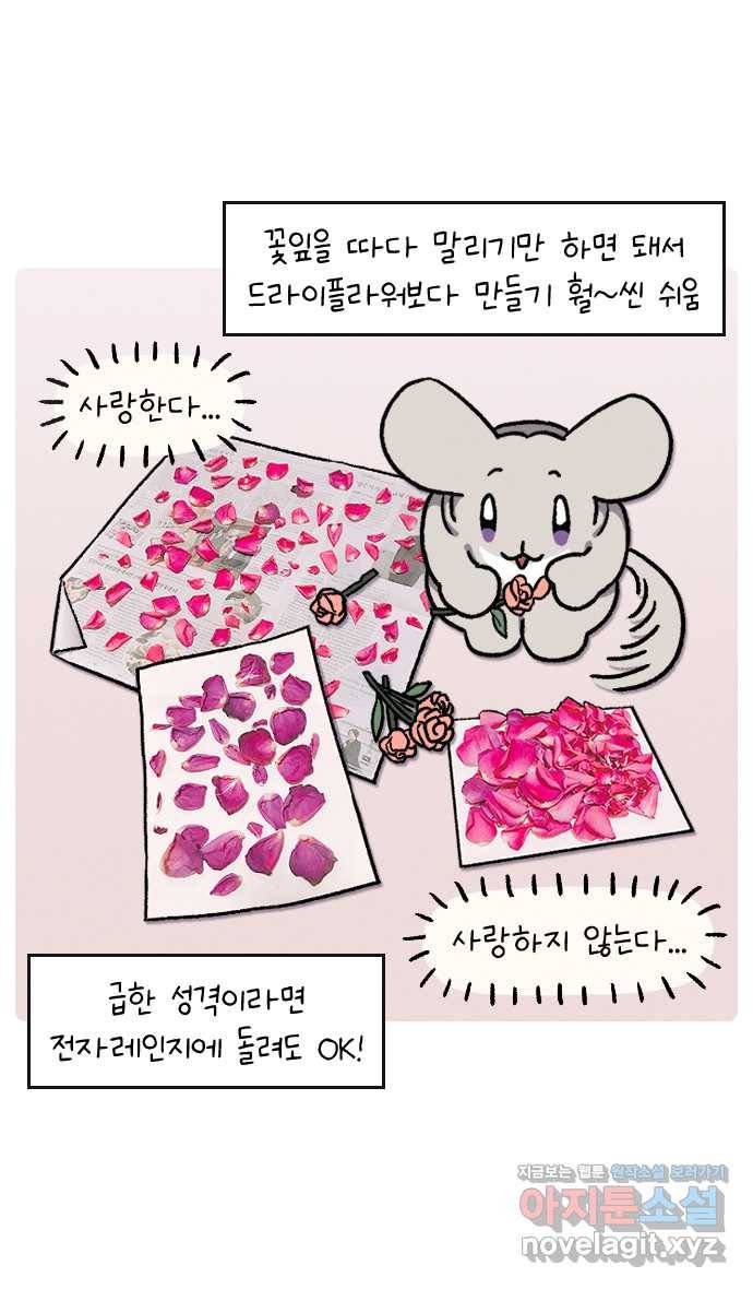 안녕, 나의 수집 08. 꽃다발 27