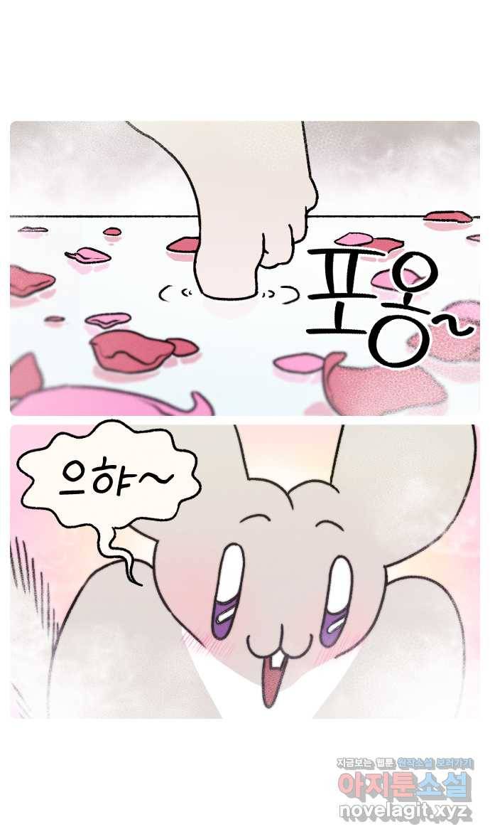안녕, 나의 수집 08. 꽃다발 30