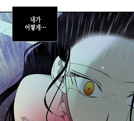 올가미(네이버) 146화 24