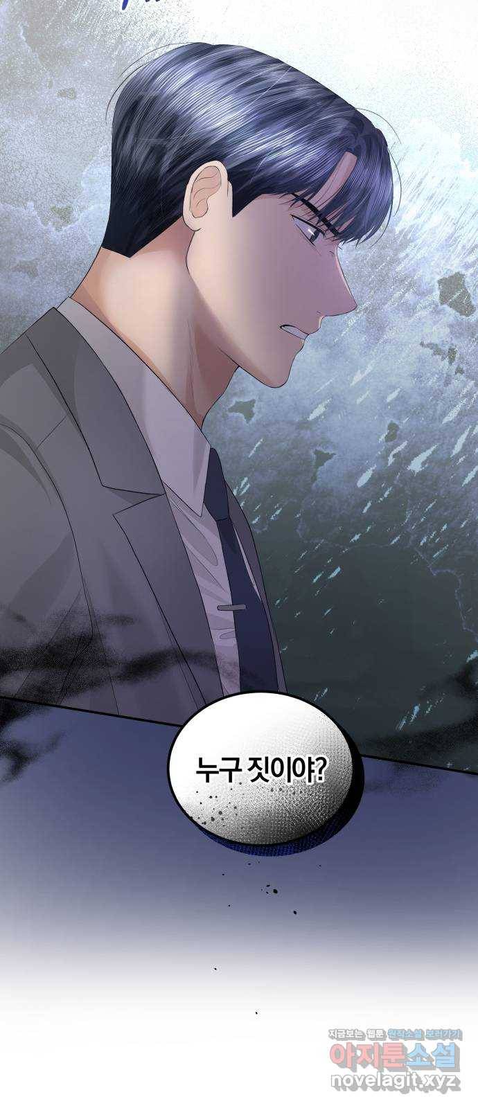 완벽한 결혼의 정석 66화 14