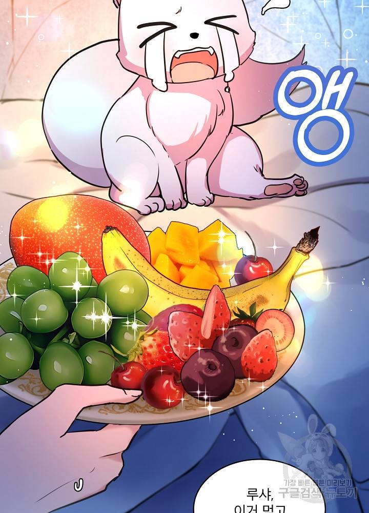아기 신수로 환생했습니다 2화 2