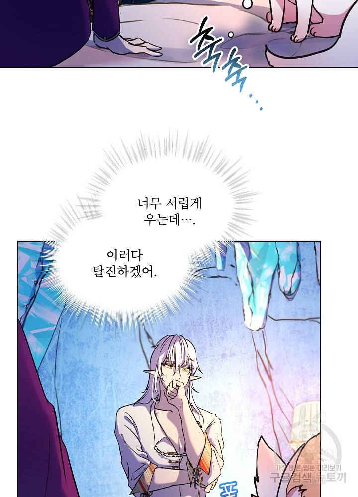 아기 신수로 환생했습니다 2화 5