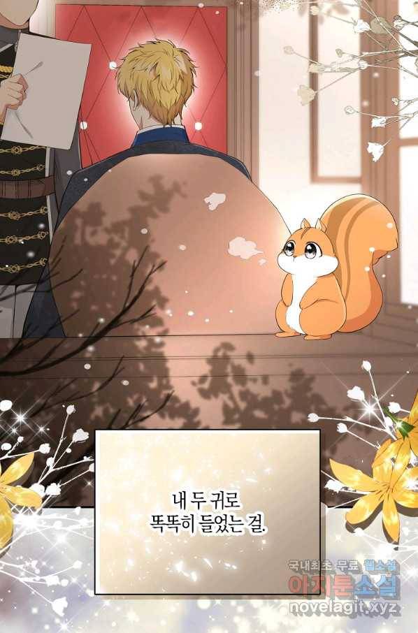아기 다람쥐가 다 잘해요 25화 39